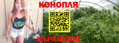 тгк Канаш