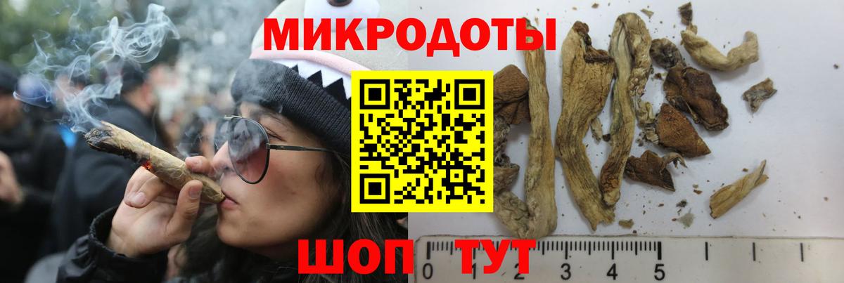 Псилоцибиновые грибы мицелий  Вход с VPN  Псилоцибиновые грибы Magic Shrooms  продажа наркотиков  Каменск-Шахтинский 